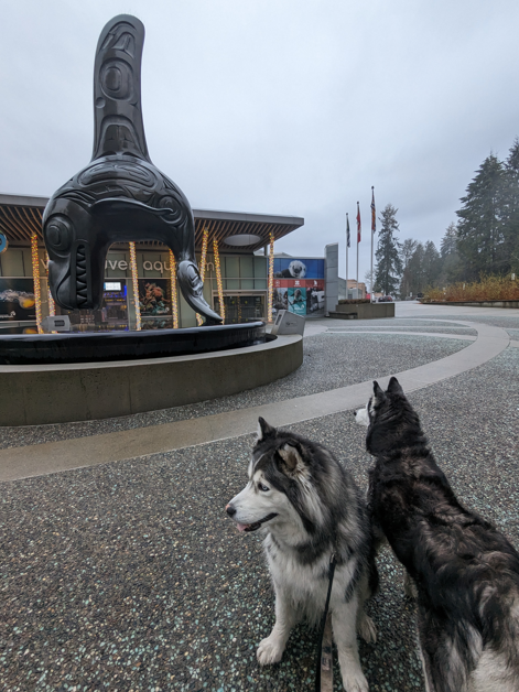 Reika and Xubia Studios